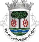 Testemunhos Castanheira de Pera